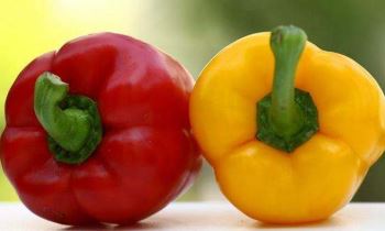 Multicolored pepper