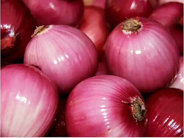 onion