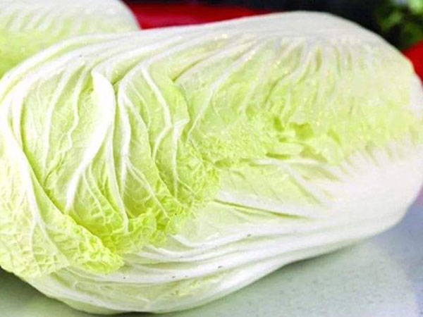 Chinese cabbage