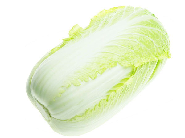 Chinese cabbage